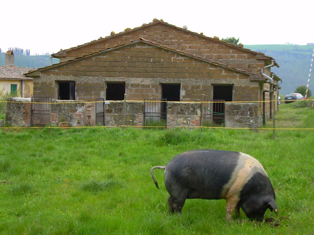 Agriturismo Le Roghete Acquapendente Exterior foto